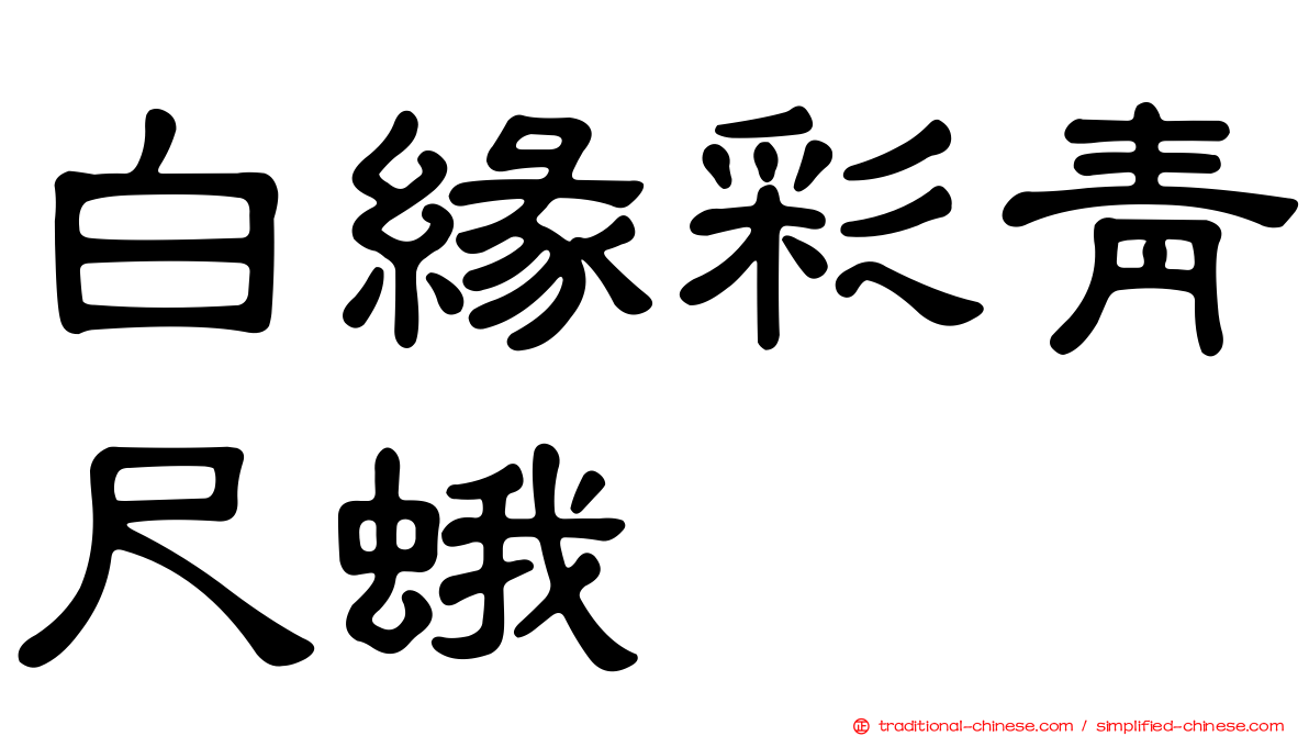 白緣彩青尺蛾