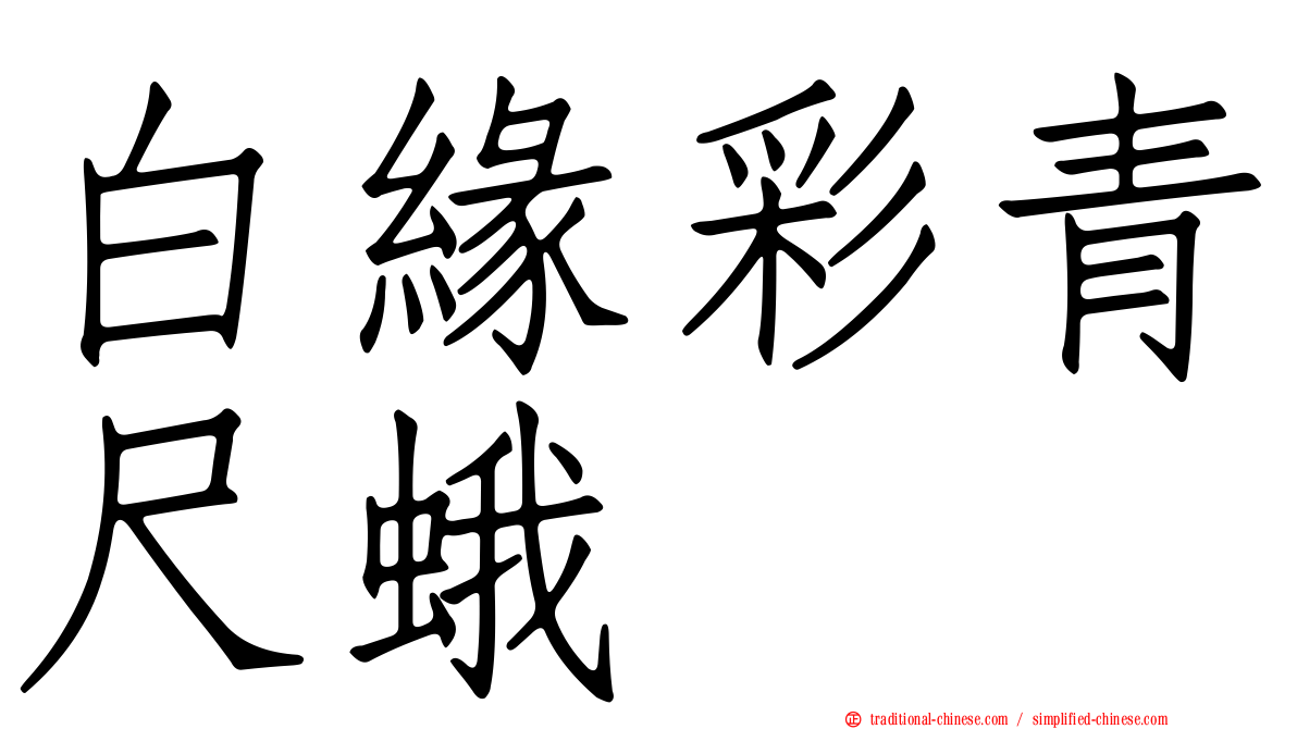 白緣彩青尺蛾