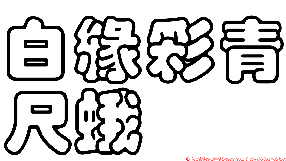 白緣彩青尺蛾