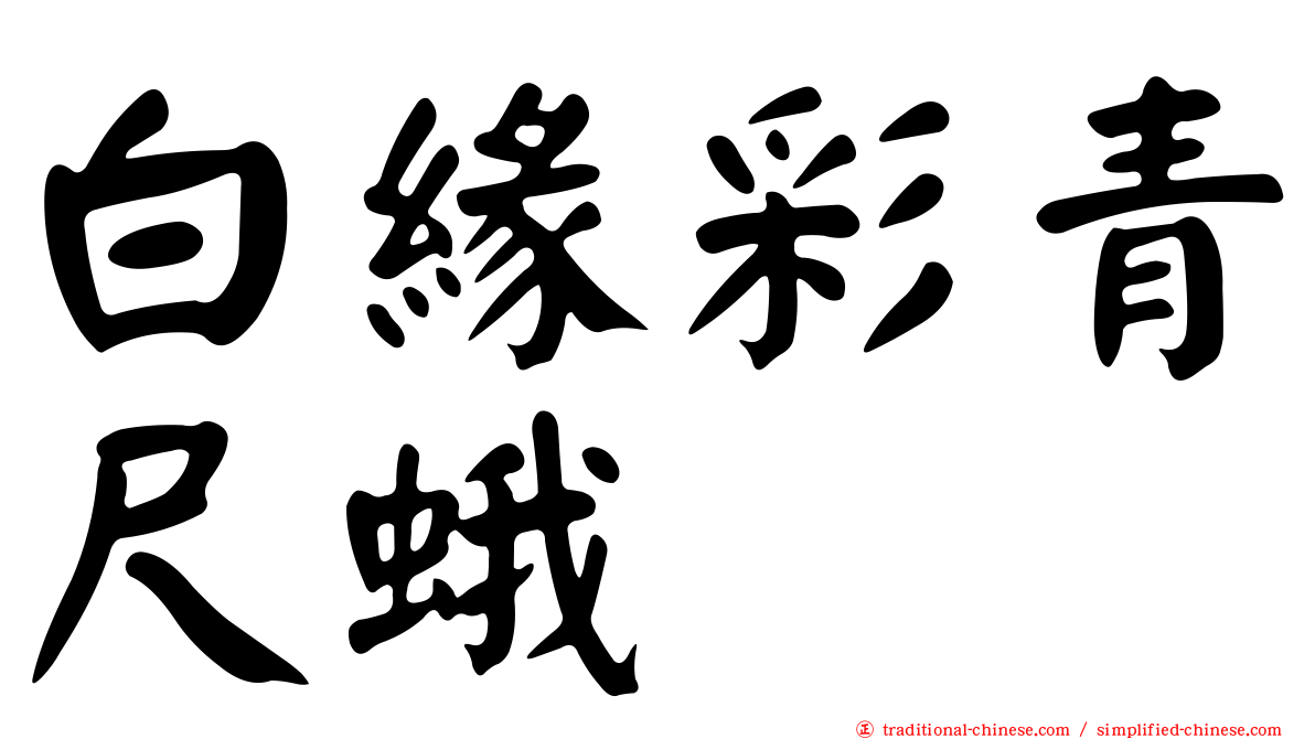 白緣彩青尺蛾