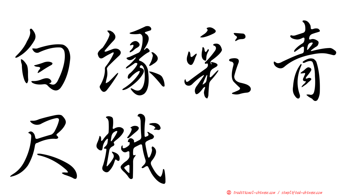 白緣彩青尺蛾