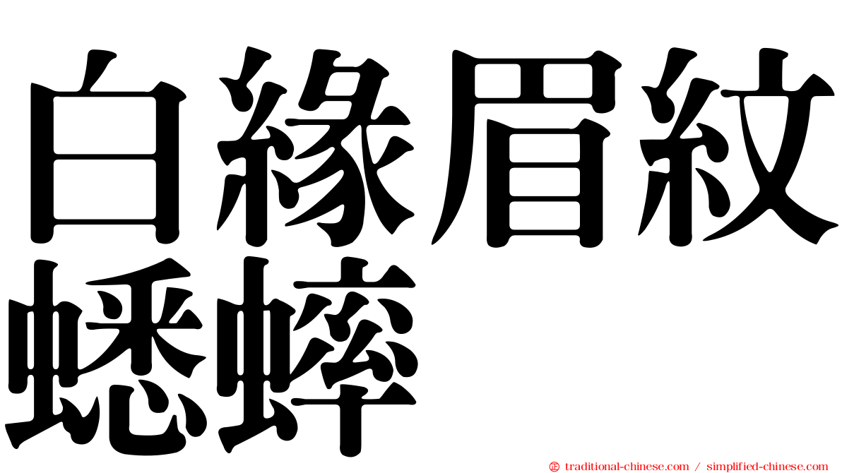 白緣眉紋蟋蟀