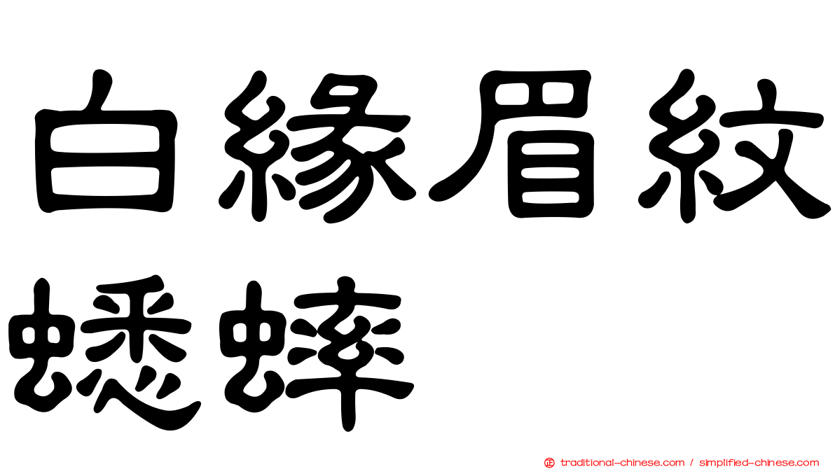 白緣眉紋蟋蟀