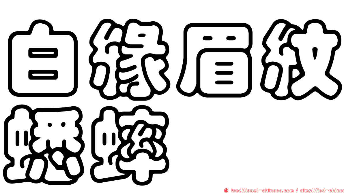 白緣眉紋蟋蟀
