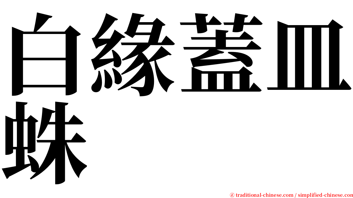白緣蓋皿蛛 serif font