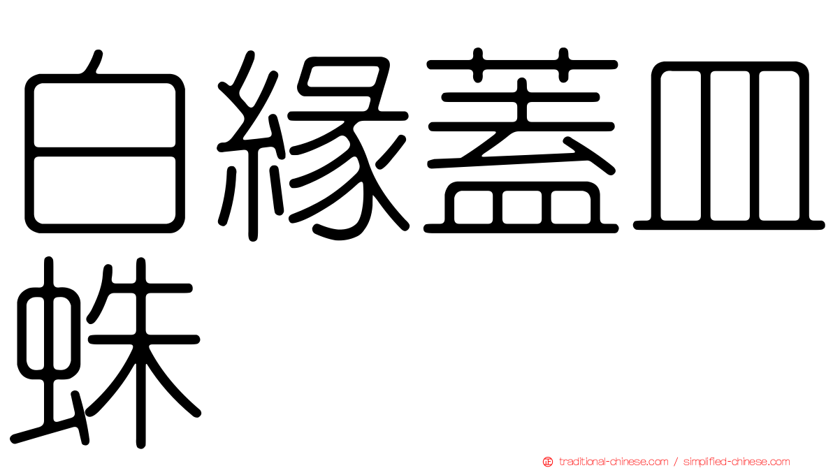 白緣蓋皿蛛