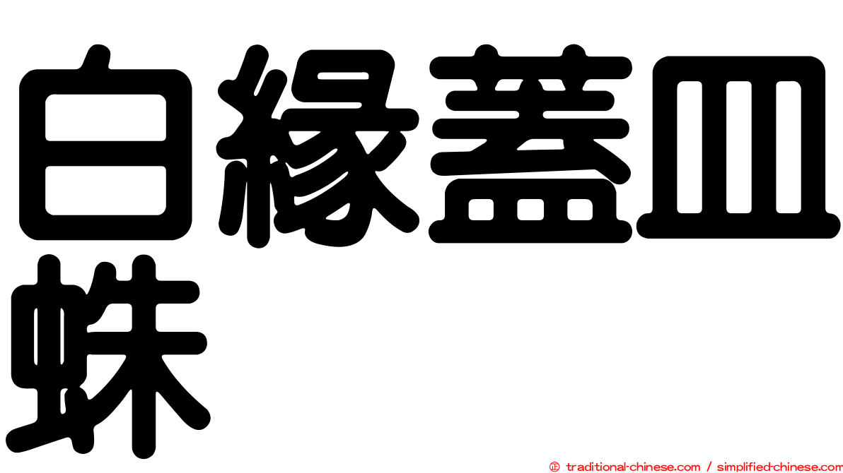 白緣蓋皿蛛