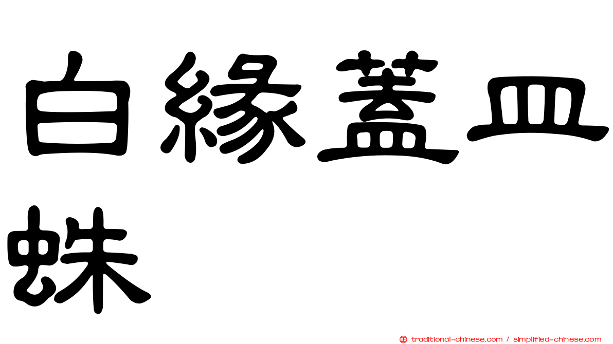 白緣蓋皿蛛