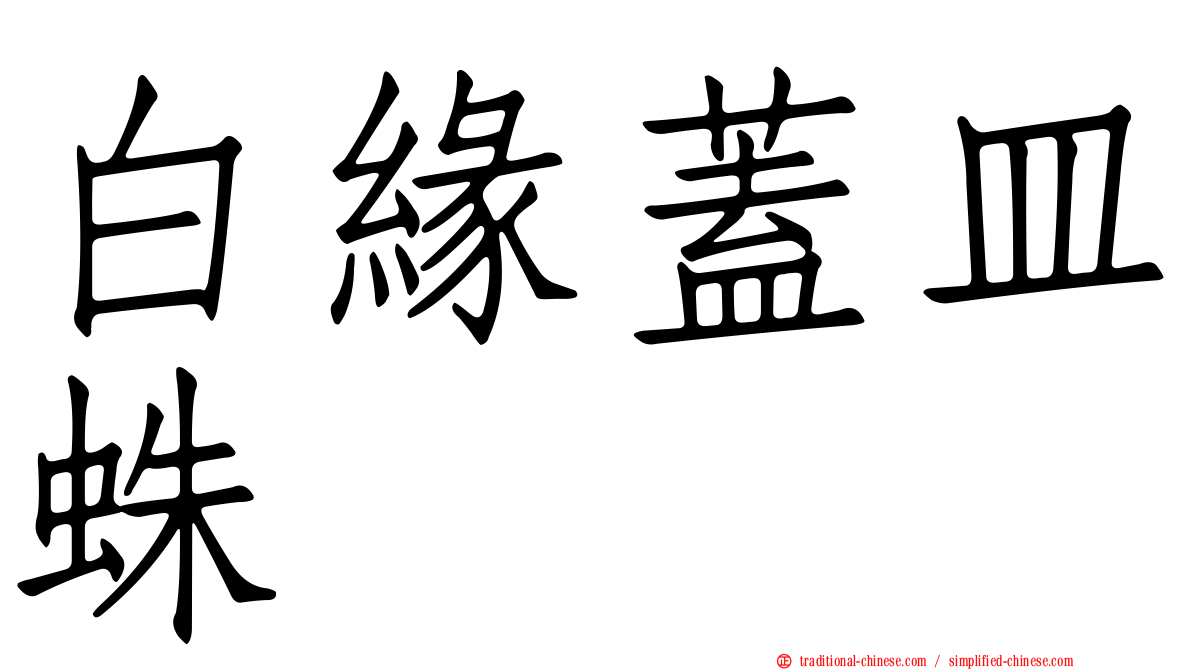 白緣蓋皿蛛
