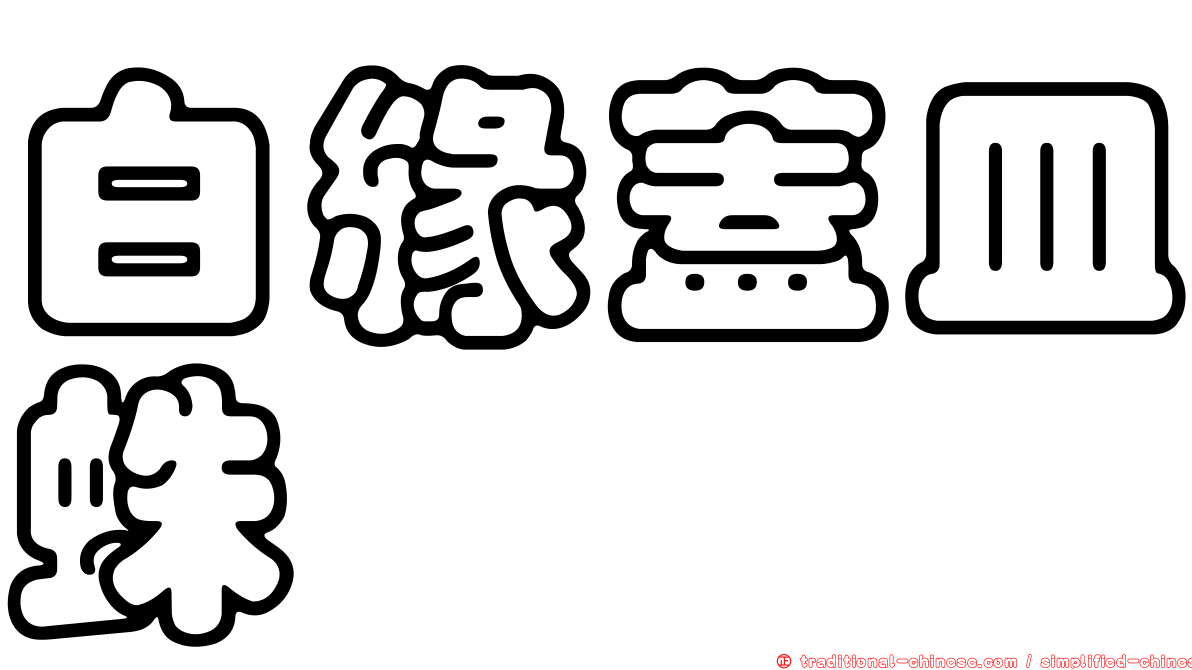 白緣蓋皿蛛