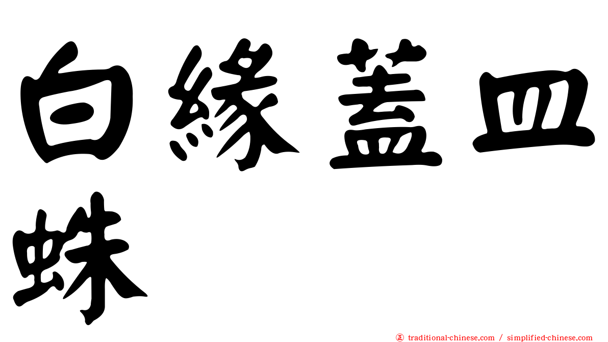 白緣蓋皿蛛