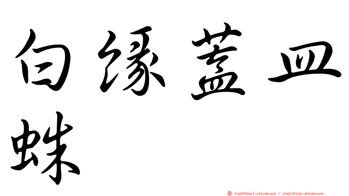 白緣蓋皿蛛