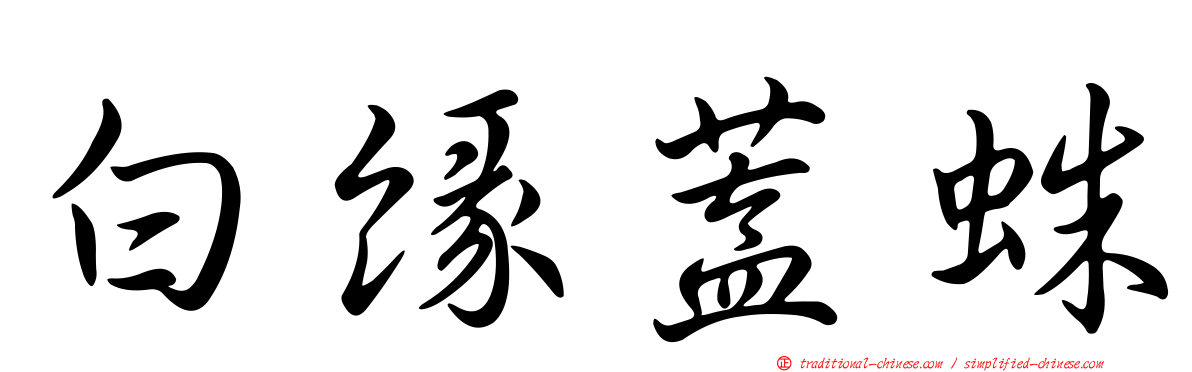 白緣蓋蛛
