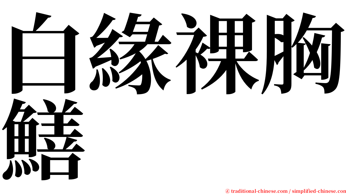 白緣裸胸鱔 serif font