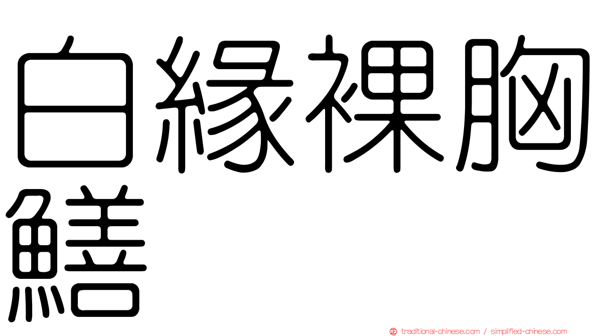 白緣裸胸鱔