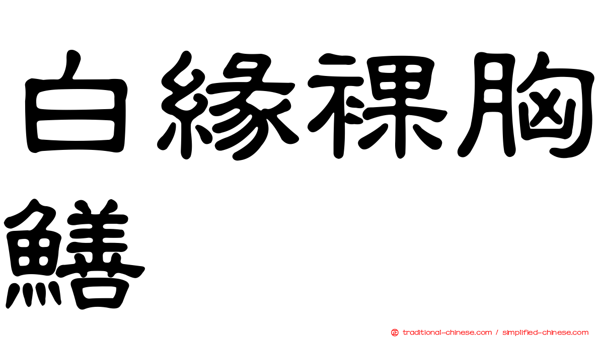 白緣裸胸鱔
