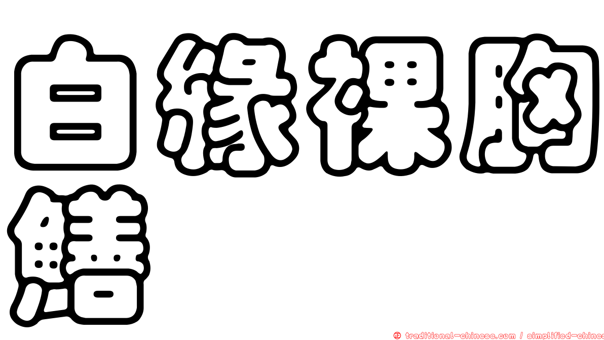 白緣裸胸鱔