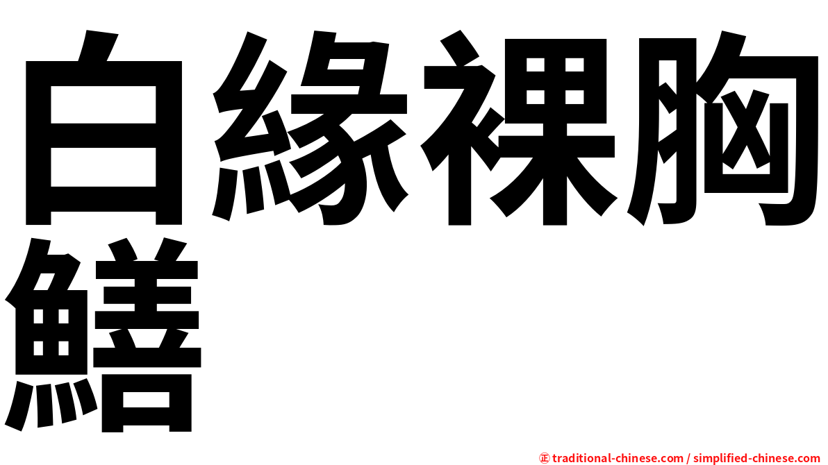 白緣裸胸鱔