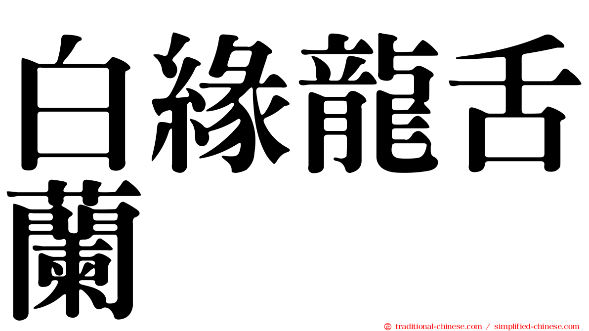白緣龍舌蘭