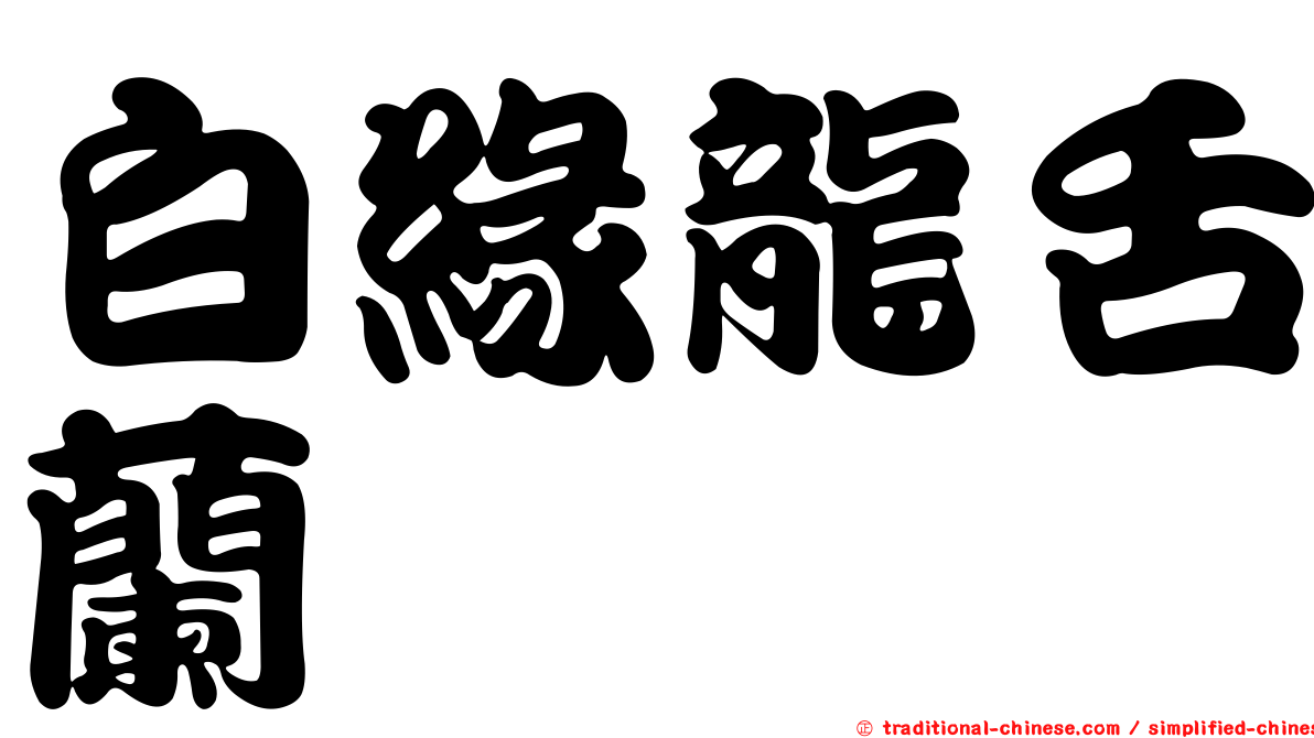 白緣龍舌蘭