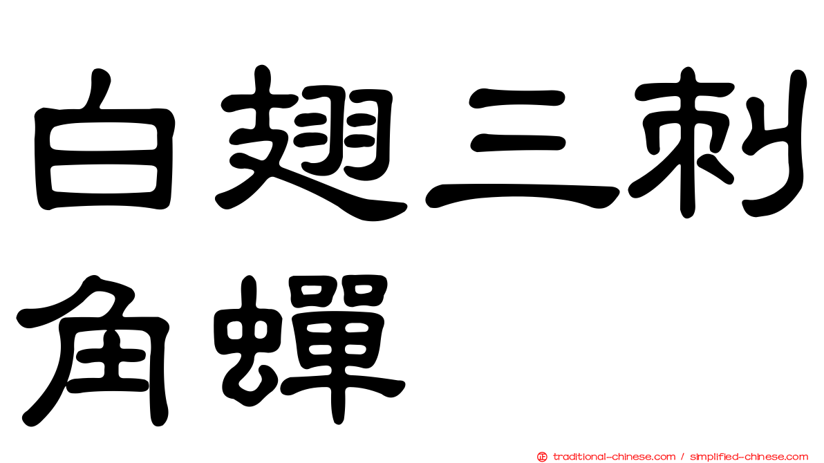 白翅三刺角蟬