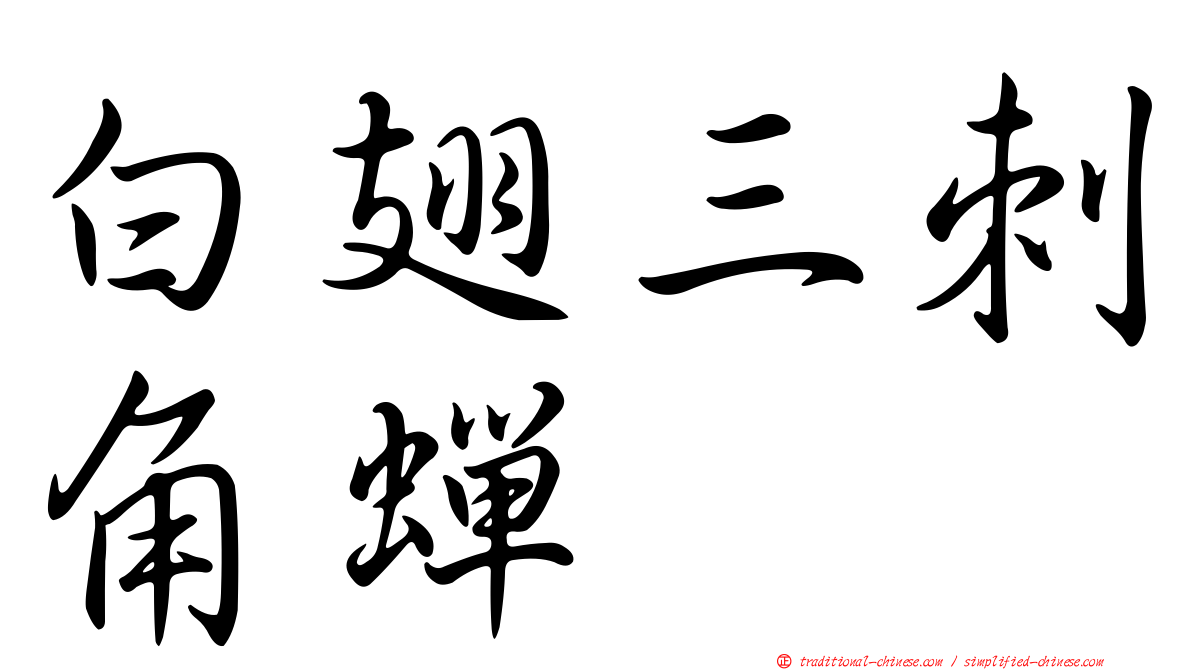 白翅三刺角蟬