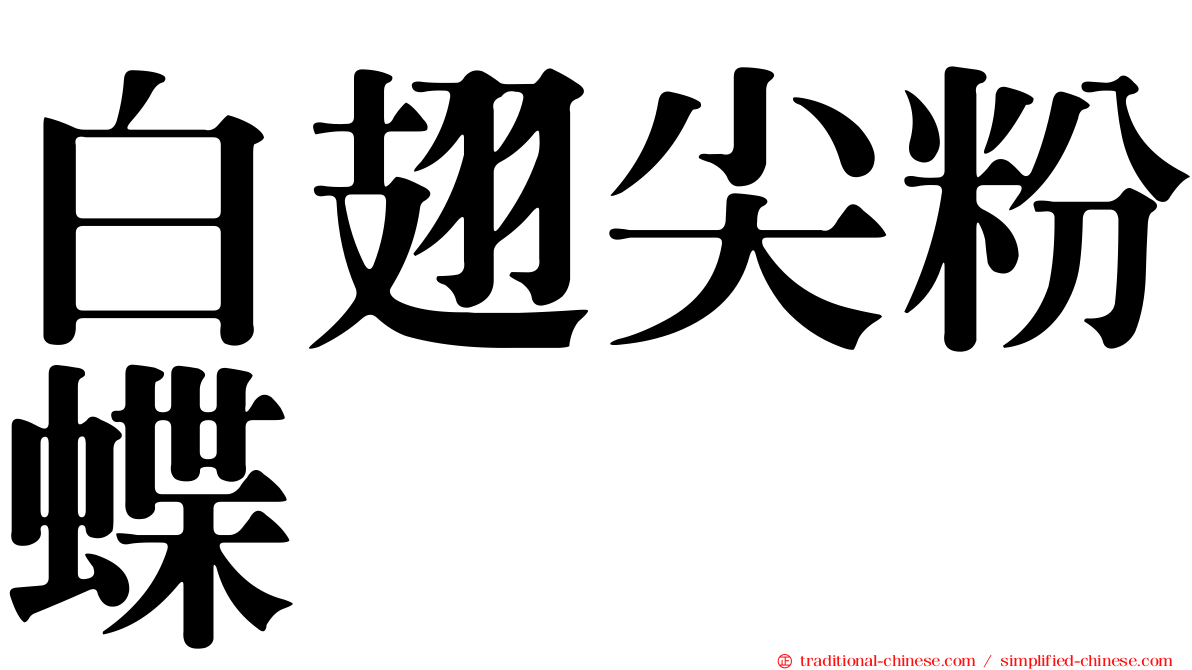 白翅尖粉蝶
