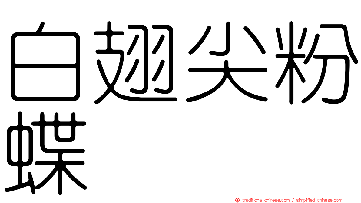 白翅尖粉蝶