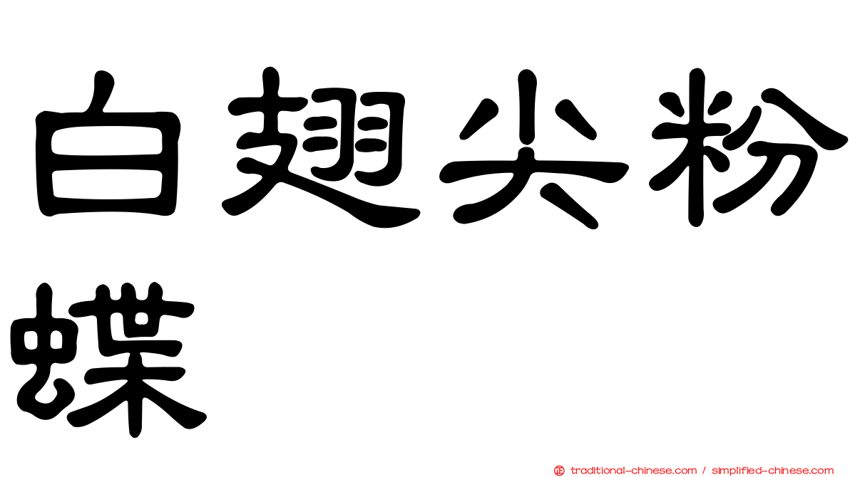 白翅尖粉蝶