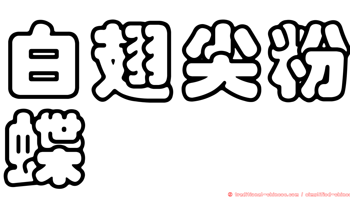 白翅尖粉蝶