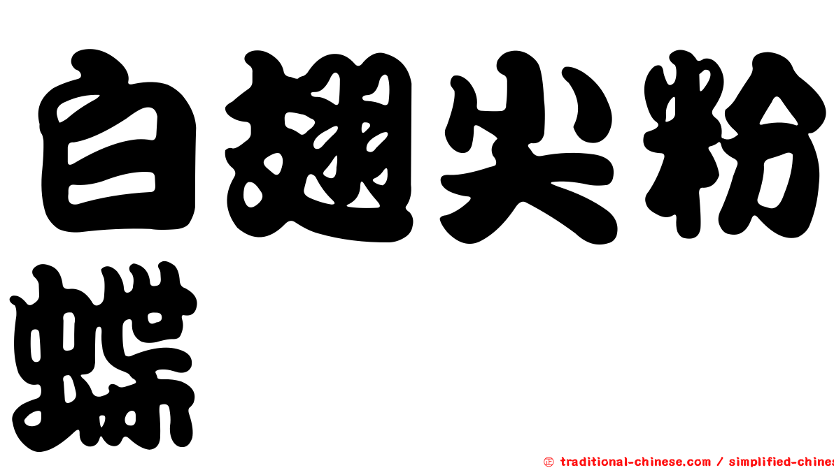 白翅尖粉蝶