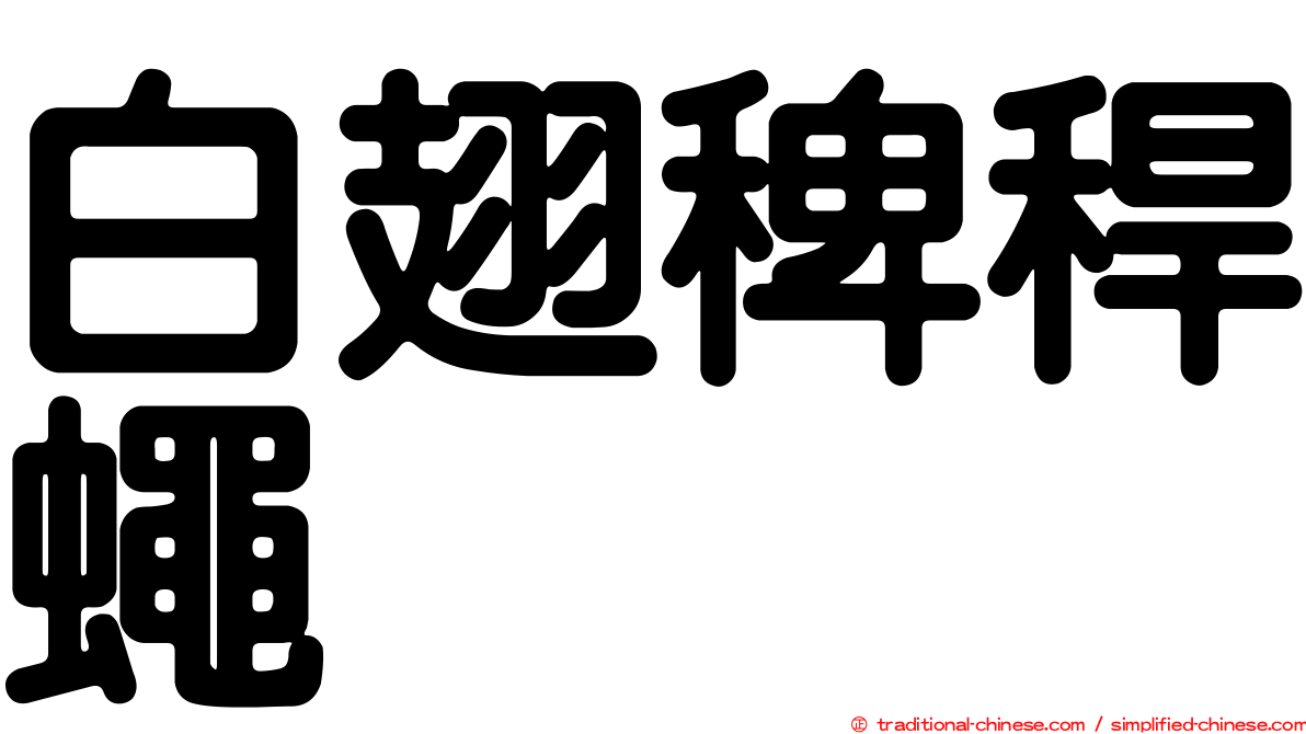 白翅稗稈蠅