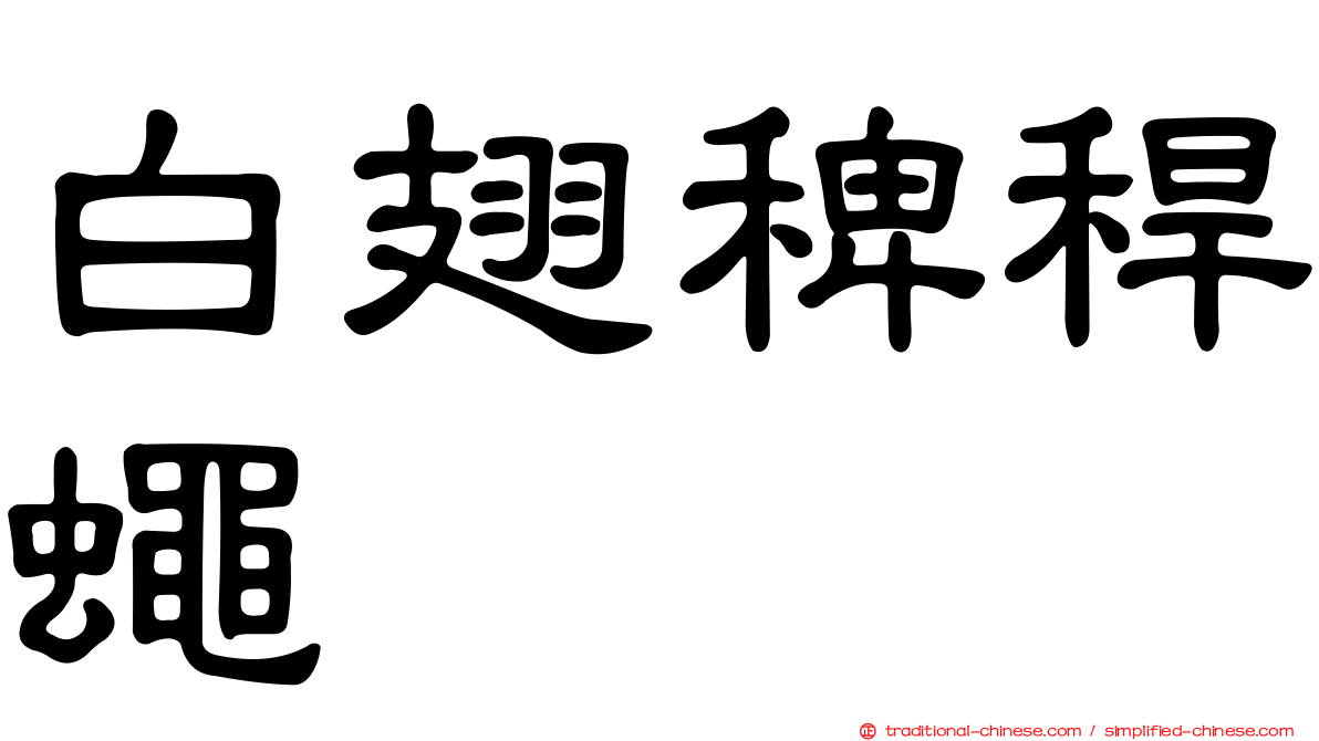 白翅稗稈蠅