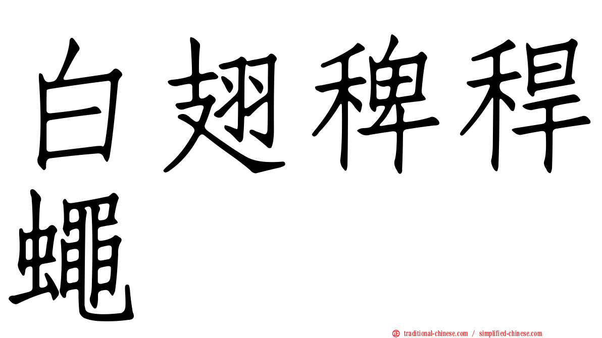 白翅稗稈蠅