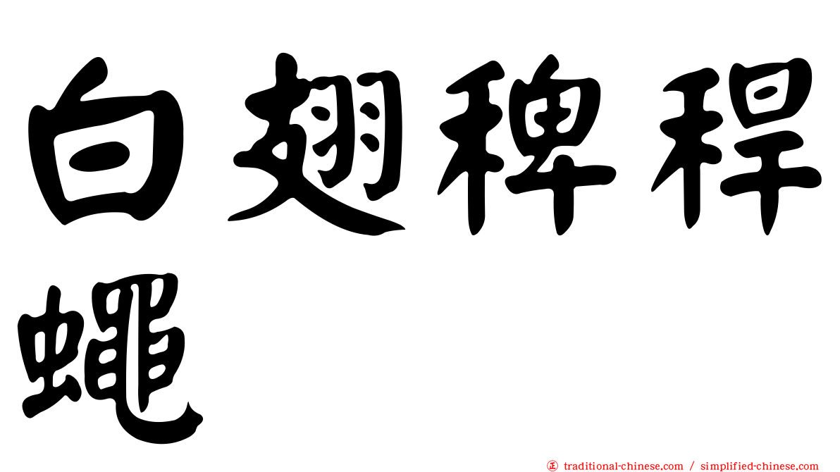 白翅稗稈蠅