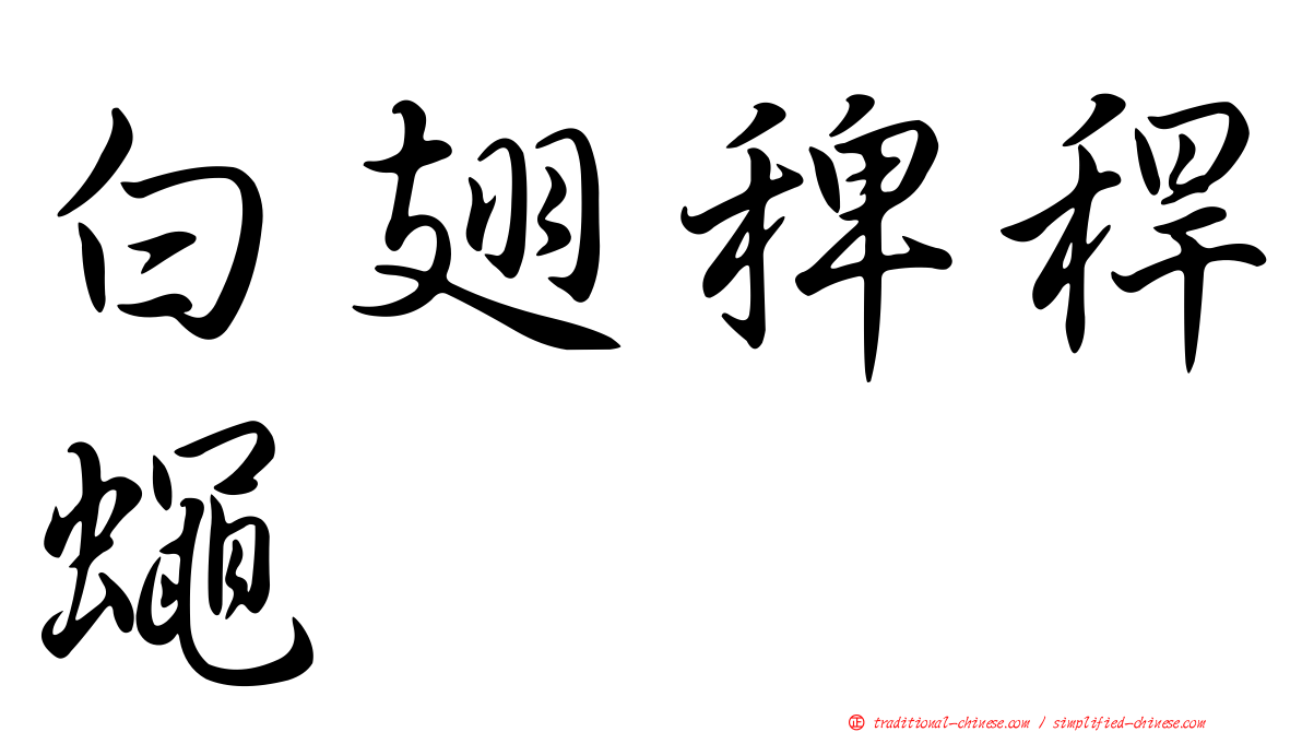 白翅稗稈蠅