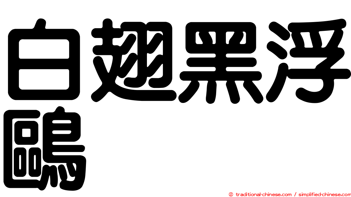 白翅黑浮鷗