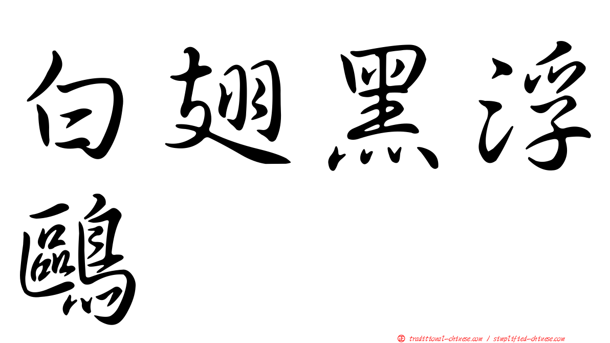 白翅黑浮鷗