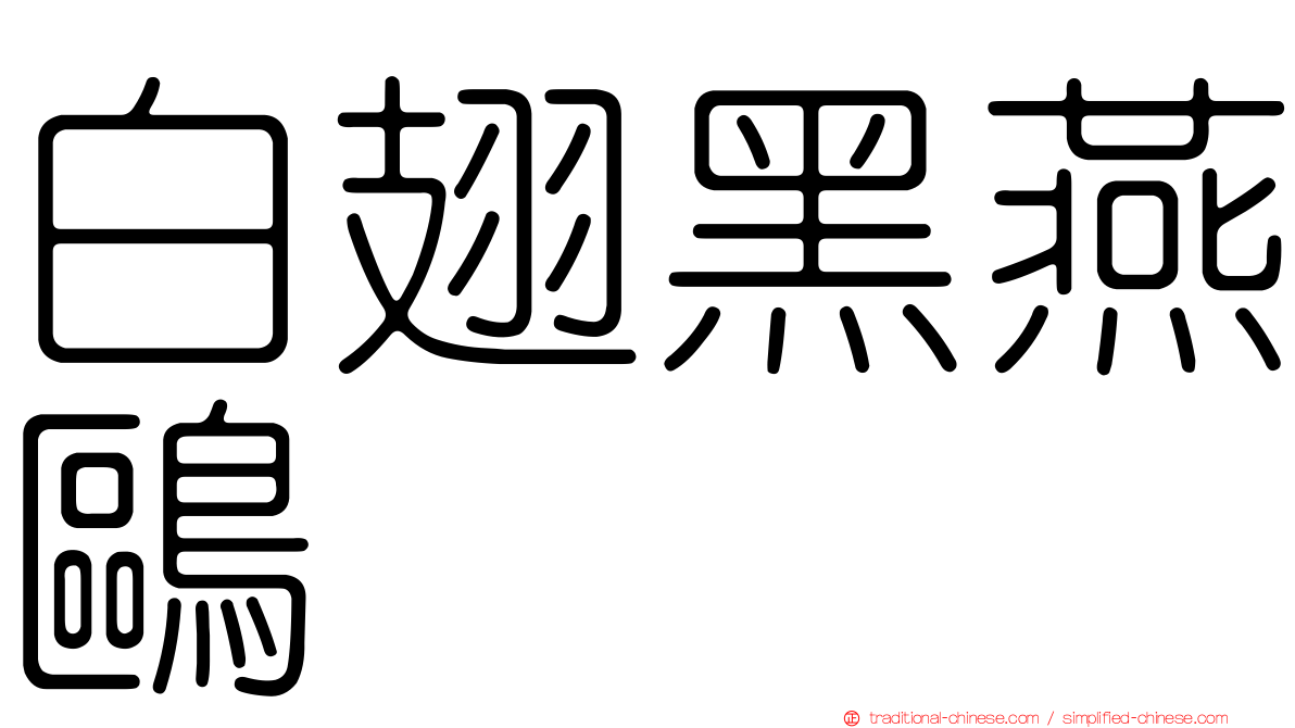 白翅黑燕鷗