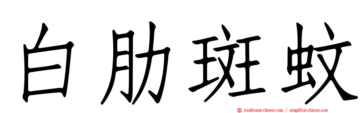 白肋斑蚊
