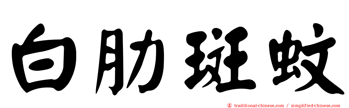 白肋斑蚊