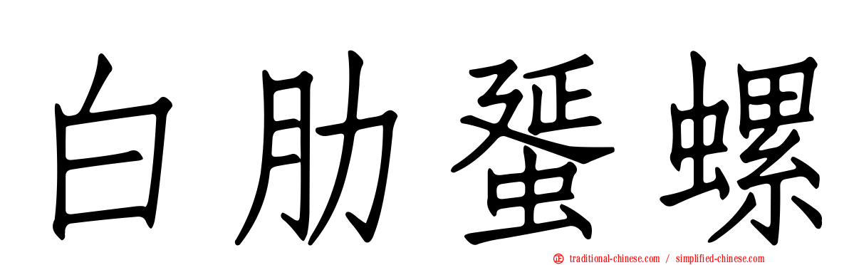 白肋蜑螺