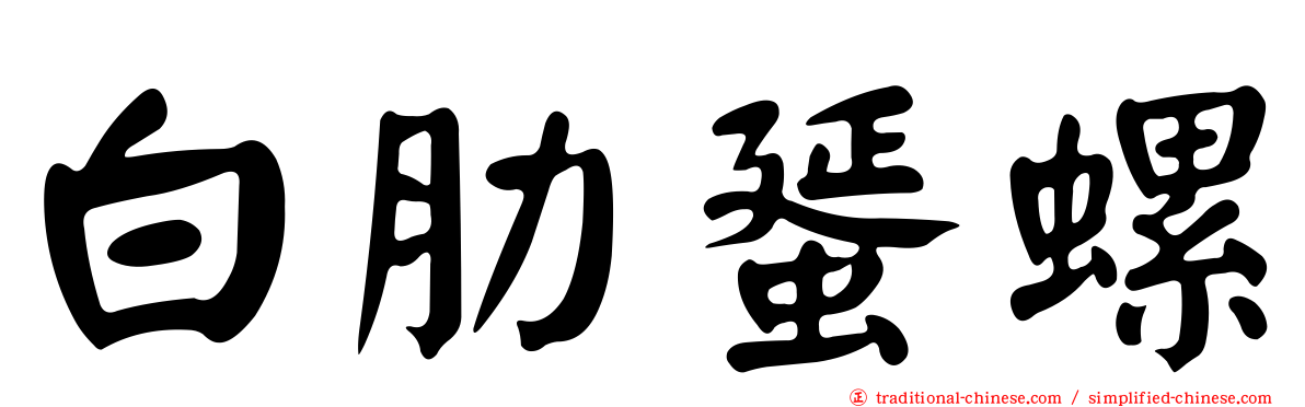 白肋蜑螺