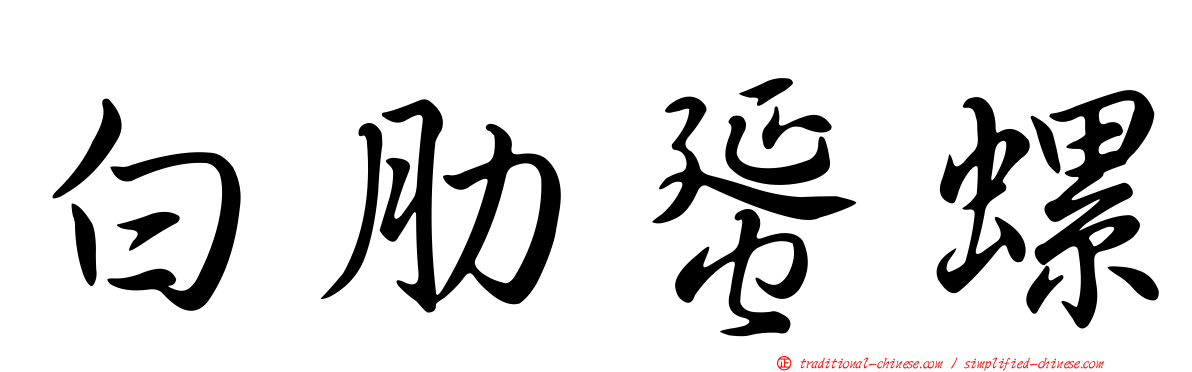 白肋蜑螺