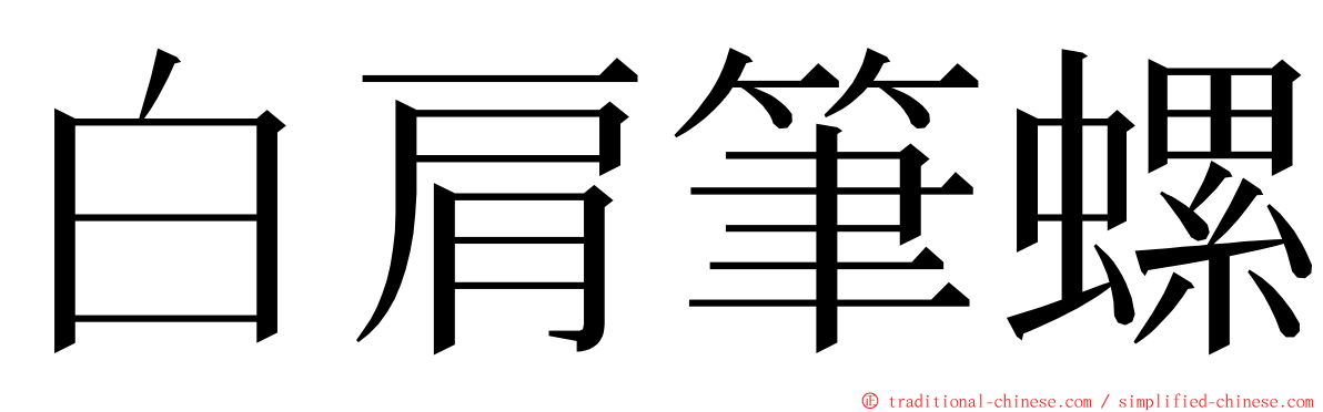 白肩筆螺 ming font