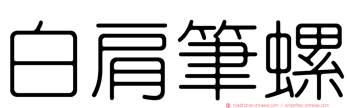 白肩筆螺