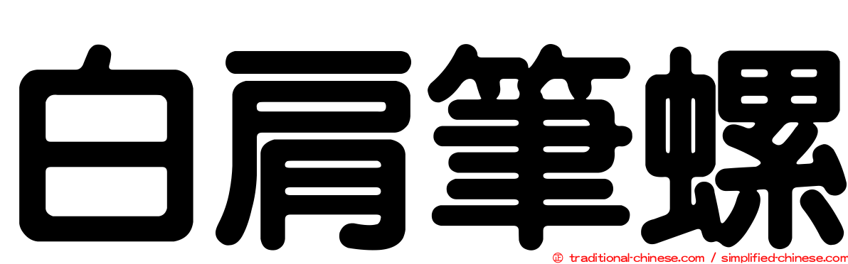 白肩筆螺