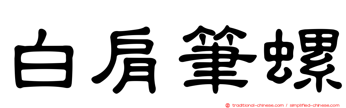 白肩筆螺