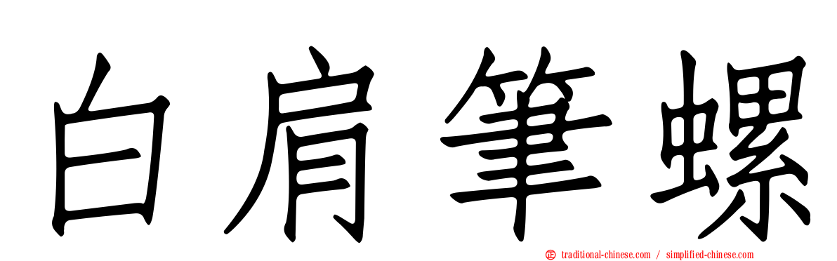 白肩筆螺
