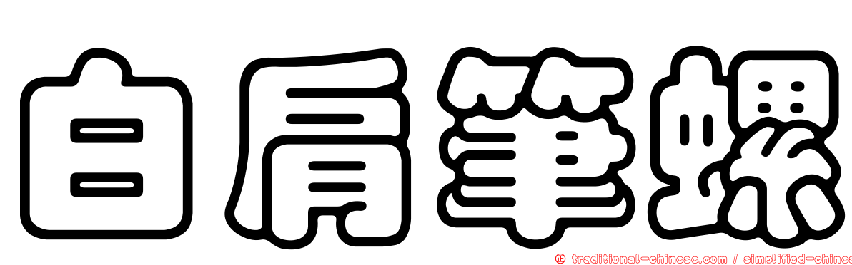 白肩筆螺